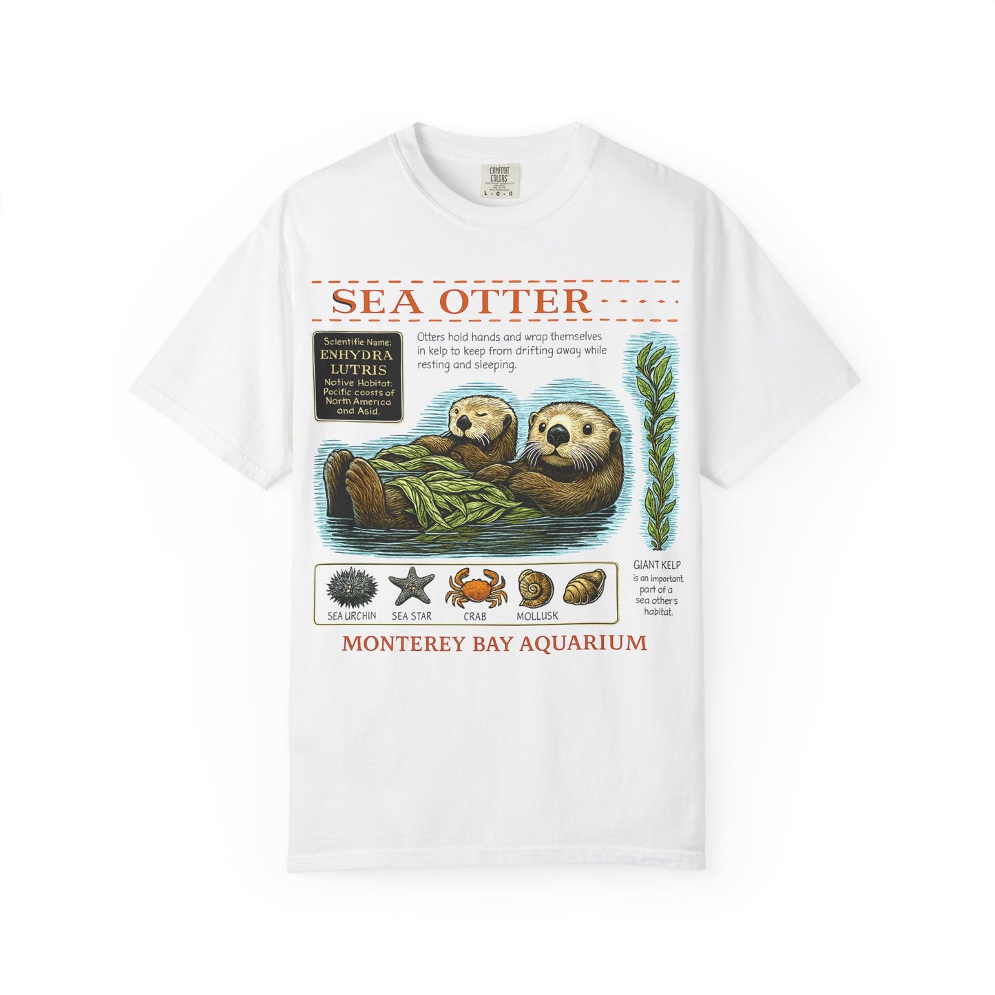 Sea Otter Graphic Comfort Colors 1717 T-Shirt — Monterey Bay Aquarium Illustration Tee