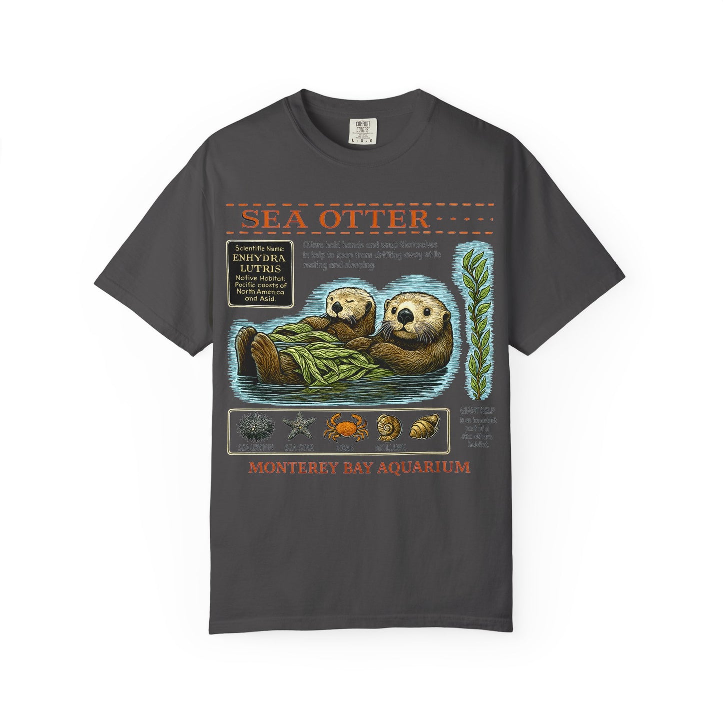 Sea Otter Graphic Comfort Colors 1717 T-Shirt — Monterey Bay Aquarium Illustration Tee