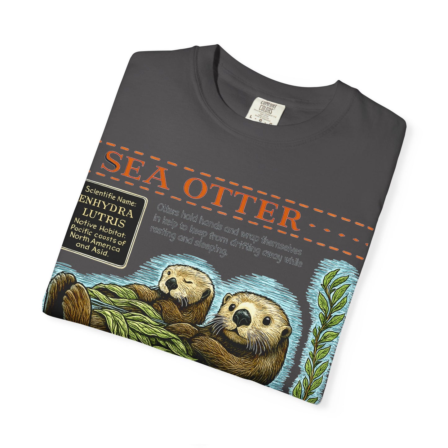 Sea Otter Graphic Comfort Colors 1717 T-Shirt — Monterey Bay Aquarium Illustration Tee