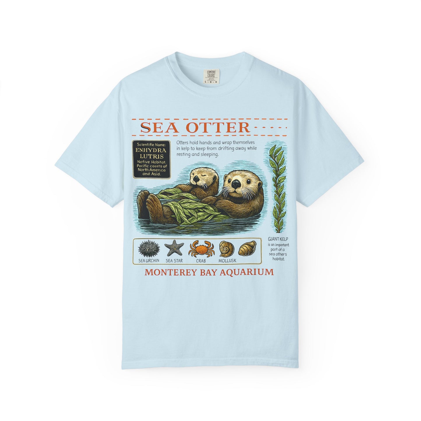 Sea Otter Graphic Comfort Colors 1717 T-Shirt — Monterey Bay Aquarium Illustration Tee