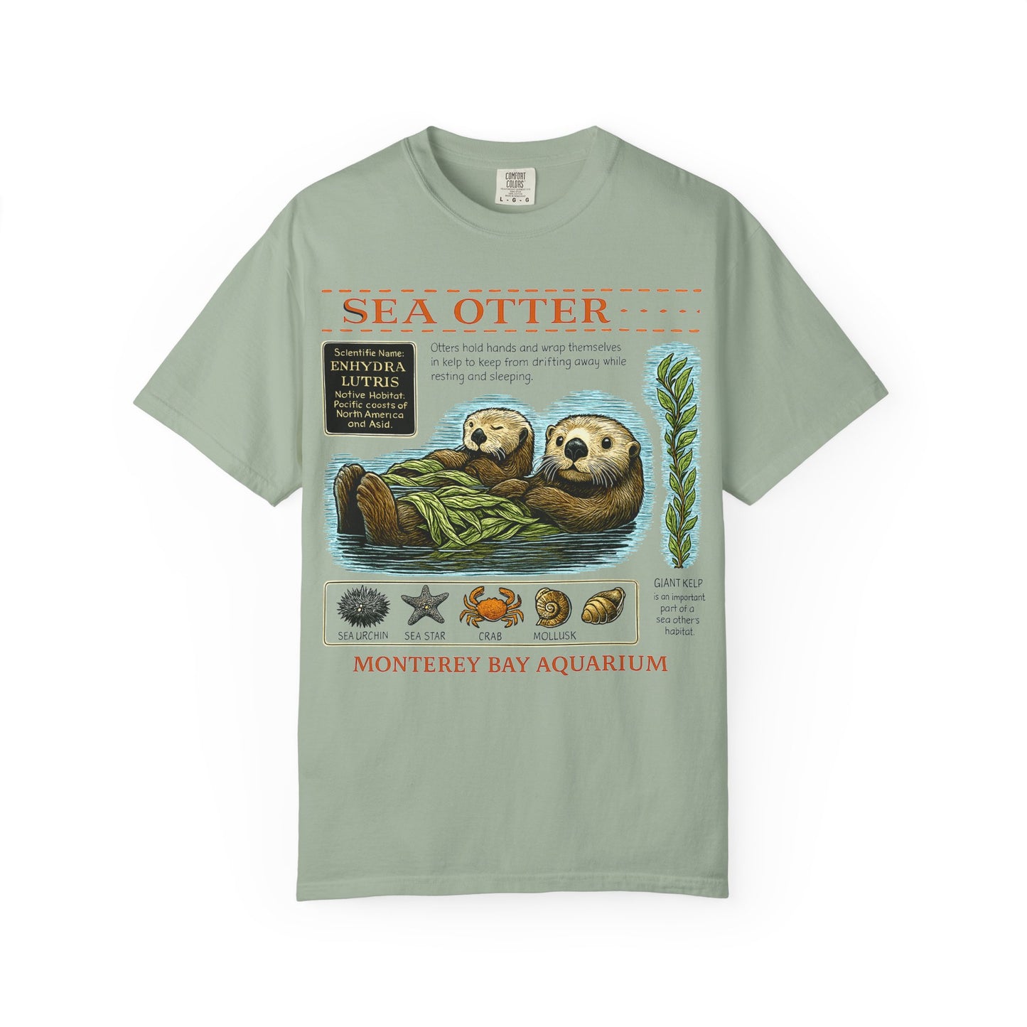 Sea Otter Graphic Comfort Colors 1717 T-Shirt — Monterey Bay Aquarium Illustration Tee